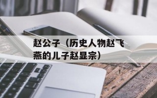 赵公子（历史人物赵飞燕的儿子赵显宗）