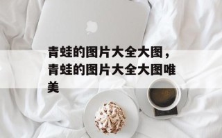 青蛙的图片大全大图，青蛙的图片大全大图唯美