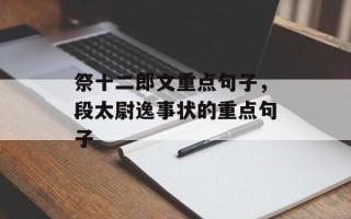 祭十二郎文重点句子，段太尉逸事状的重点句子
