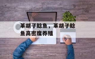 革胡子鲶鱼，革胡子鲶鱼高密度养殖