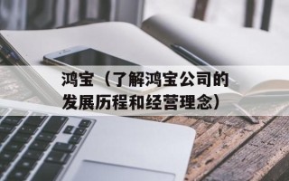 鸿宝（了解鸿宝公司的发展历程和经营理念）
