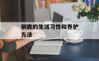 驯鹿的生活习性和养护方法