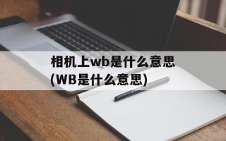 相机上wb是什么意思(WB是什么意思)