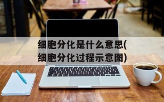 细胞分化是什么意思(细胞分化过程示意图)