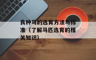 良种马的选育方法与标准（了解马匹选育的相关知识）