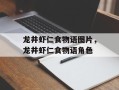 龙井虾仁食物语图片，龙井虾仁食物语角色