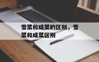 雪菜和咸菜的区别，雪菜和咸菜区别