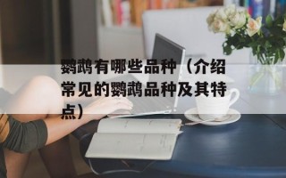 鹦鹉有哪些品种（介绍常见的鹦鹉品种及其特点）