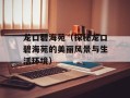 龙口碧海苑（探秘龙口碧海苑的美丽风景与生活环境）