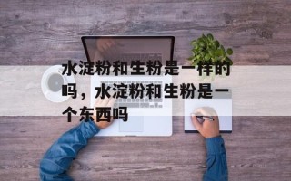 水淀粉和生粉是一样的吗，水淀粉和生粉是一个东西吗