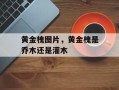 黄金槐图片，黄金槐是乔木还是灌木
