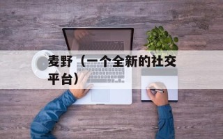 麦野（一个全新的社交平台）