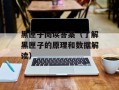 黑匣子阅读答案（了解黑匣子的原理和数据解读）