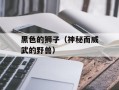 黑色的狮子（神秘而威武的野兽）