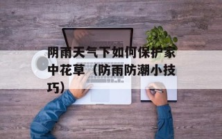 阴雨天气下如何保护家中花草（防雨防潮小技巧）