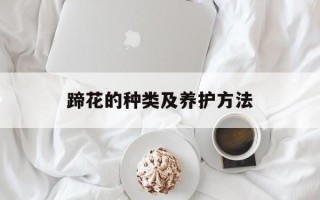 蹄花的种类及养护方法