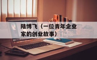 陆博飞（一位青年企业家的创业故事）