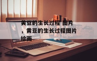 黄豆的生长过程 图片，黄豆的生长过程图片绘画