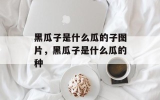 黑瓜子是什么瓜的子图片，黑瓜子是什么瓜的种