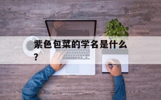 紫色包菜的学名是什么？