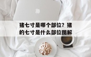 猪七寸是哪个部位？猪的七寸是什么部位图解