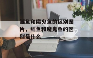 鳐鱼和魔鬼鱼的区别图片，鳐鱼和魔鬼鱼的区别是什么