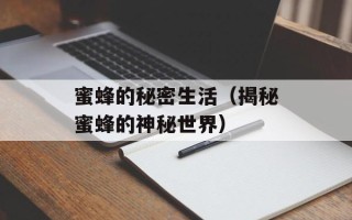 蜜蜂的秘密生活（揭秘蜜蜂的神秘世界）