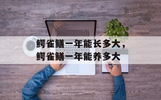 鳄雀鳝一年能长多大，鳄雀鳝一年能养多大