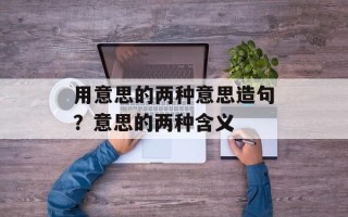 用意思的两种意思造句？意思的两种含义