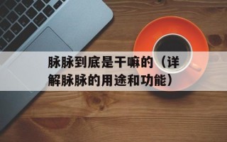 脉脉到底是干嘛的（详解脉脉的用途和功能）