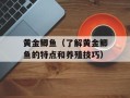 黄金鲫鱼（了解黄金鲫鱼的特点和养殖技巧）
