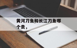 黄河刀鱼和长江刀鱼哪个贵，