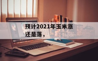 预计2021年玉米涨还是落，
