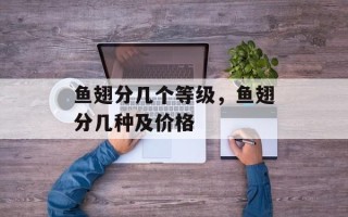 鱼翅分几个等级，鱼翅分几种及价格
