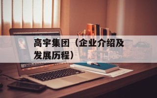 高宇集团（企业介绍及发展历程）