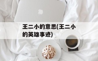 王二小的意思(王二小的英雄事迹)