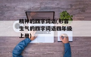 精神的四字词语(形容生气的四字词语四年级上册)