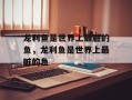龙利鱼是世界上最脏的鱼，龙利鱼是世界上最脏的鱼