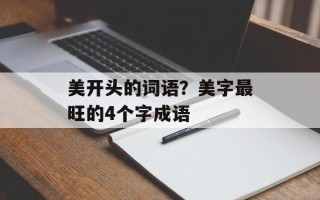 美开头的词语？美字最旺的4个字成语