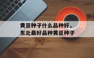 黄豆种子什么品种好，东北最好品种黄豆种子
