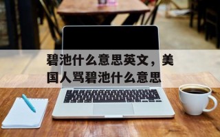 碧池什么意思英文，美国人骂碧池什么意思