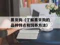 黑贝狗（了解黑贝狗的品种特点和饲养方法）