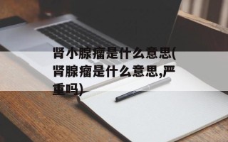肾小腺瘤是什么意思(肾腺瘤是什么意思,严重吗)
