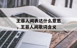 王菲人间表达什么意思，王菲人间歌词含义