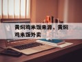 黄焖鸡米饭来源，黄焖鸡米饭外卖