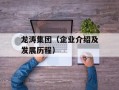 龙涛集团（企业介绍及发展历程）