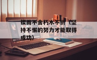 锲而不舍朽木不折（坚持不懈的努力才能取得成功）