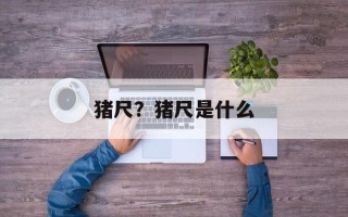 猪尺？猪尺是什么