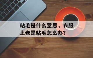 粘毛是什么意思，衣服上老是粘毛怎么办？
