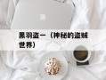 黑羽盗一（神秘的盗贼世界）